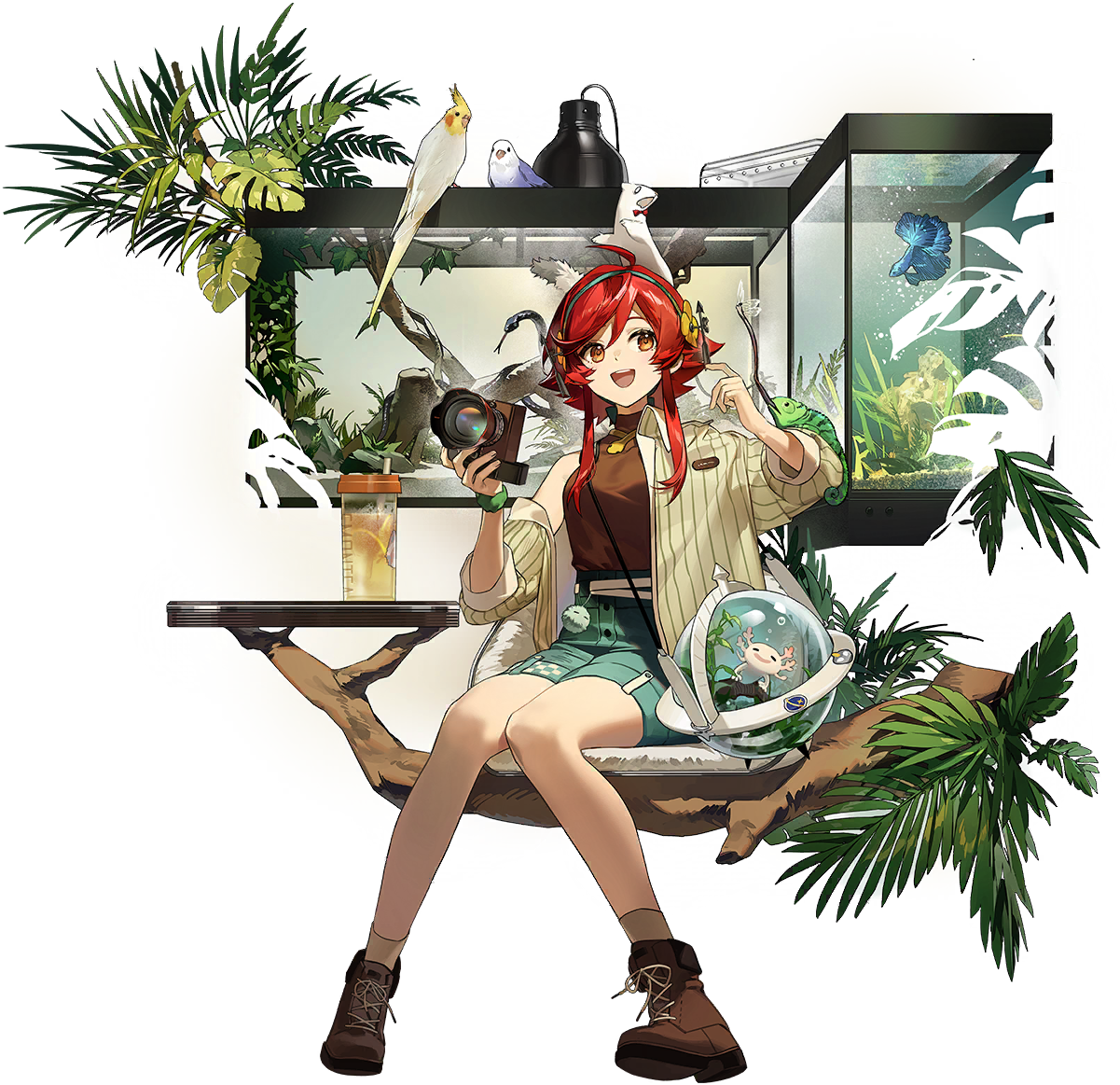 シロムクゲ
